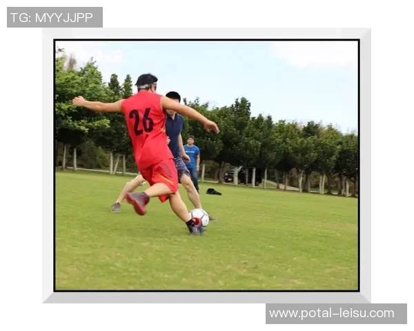 多特蒙德与威尔郡激战成和赛后分析与精彩瞬间回顾